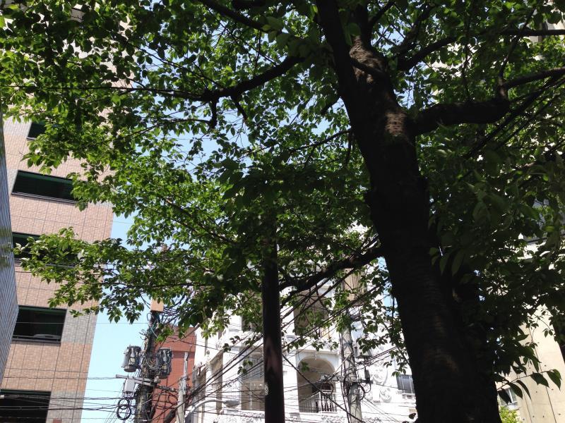 Fukuoka Guesthouse Little Asia Kokura Kitakyushu Exterior photo